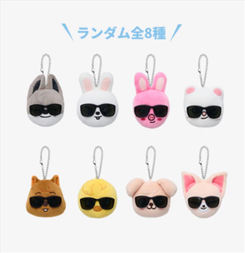 Stray Kids - Run It Japan World Tour Official Md Random Face Keyring/Product Detail/KPOP Merch