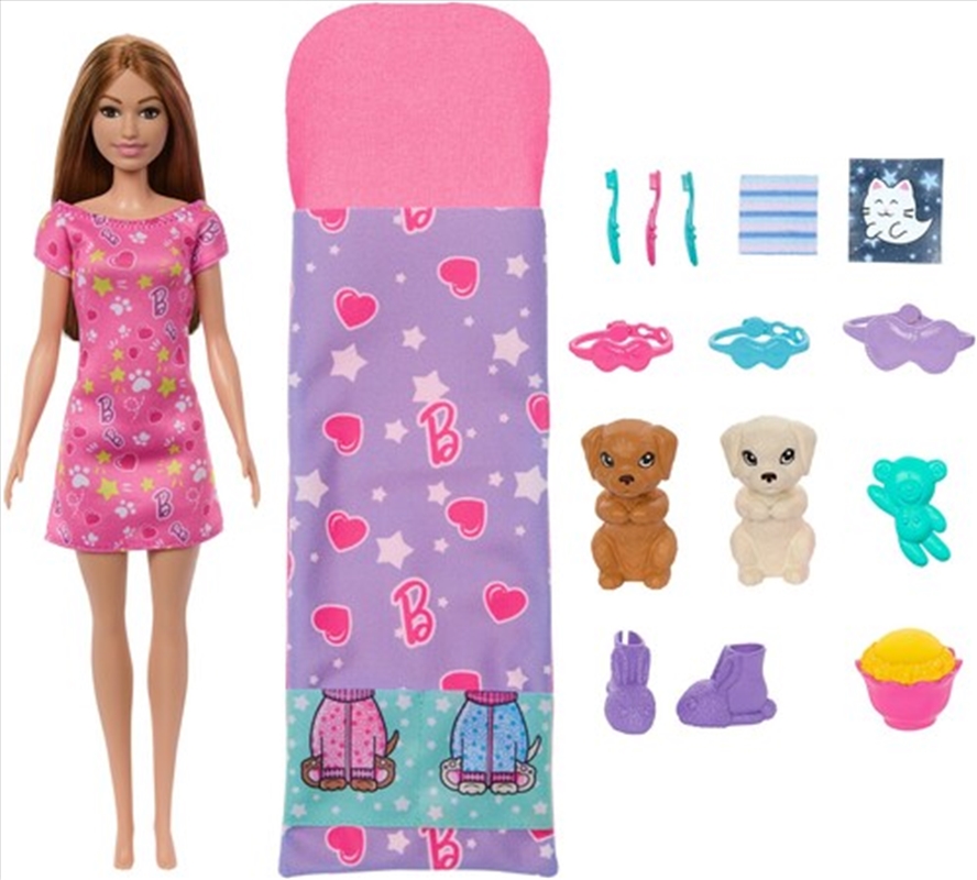 Barbie Doll & Puppy Slumber Party Playset/Product Detail/Toys
