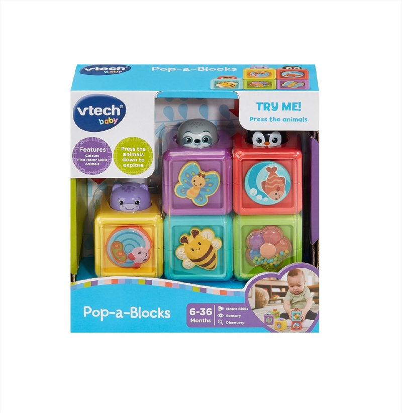 Vtech Pop-a-Blocks/Product Detail/Toys