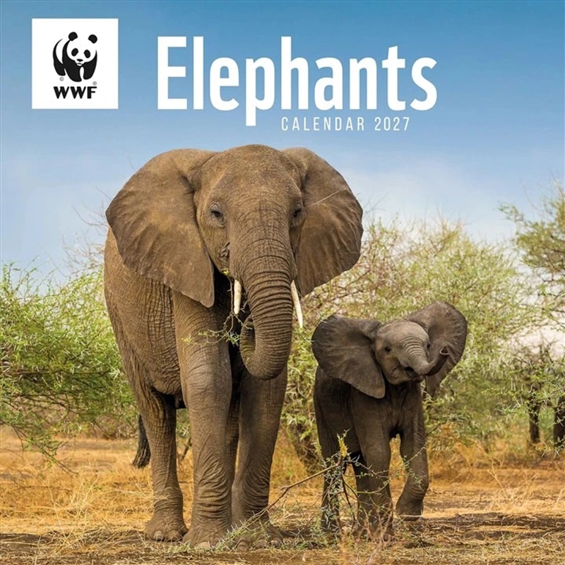 WWF, Elephants Wall Calendar/Product Detail/Calendars & Diaries