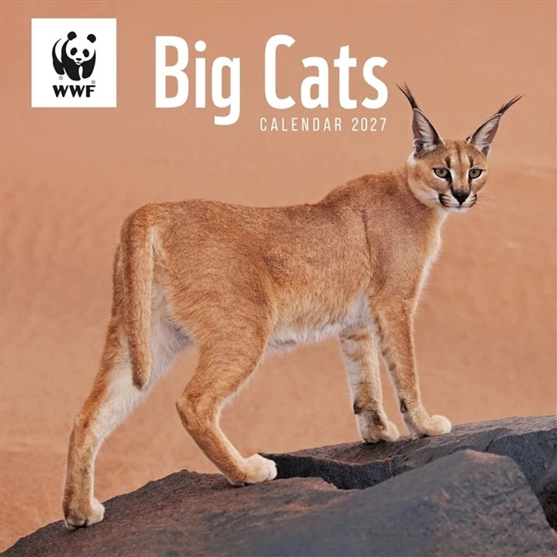 WWF, Big Cats Wall Calendar/Product Detail/Calendars & Diaries