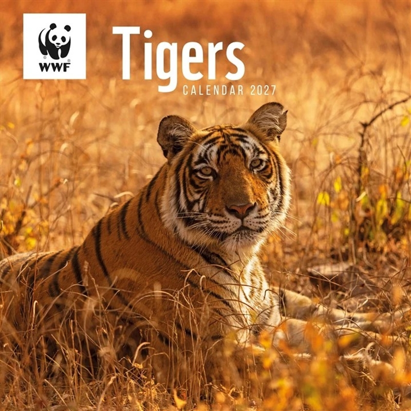 WWF Tigers Wall Calendar/Product Detail/Calendars & Diaries