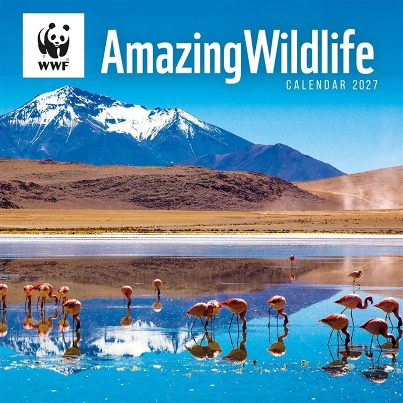 WWF Amazing Wildlife Wall Calendar/Product Detail/Calendars & Diaries