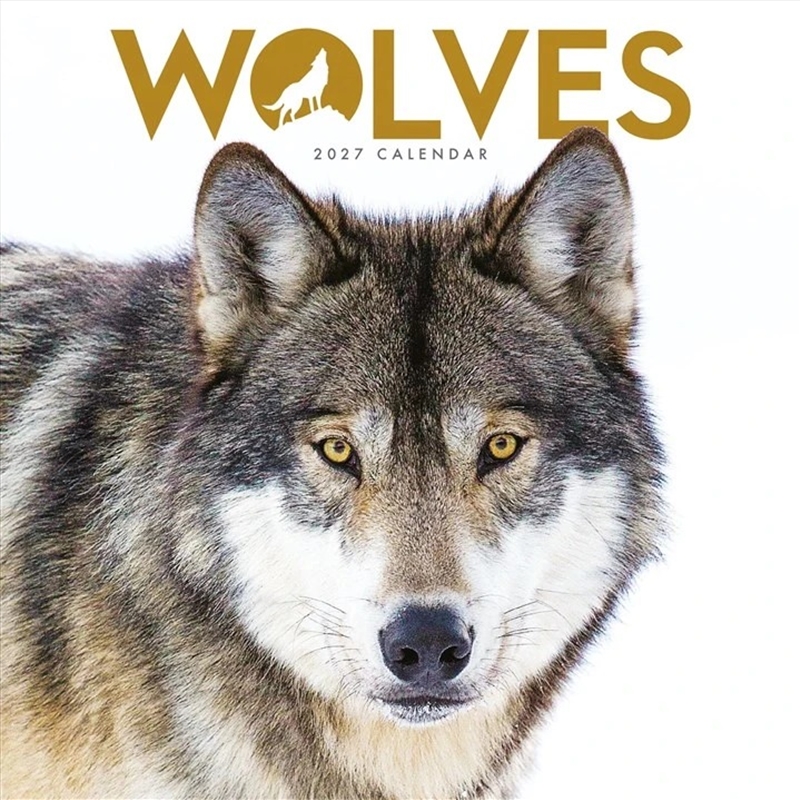 Wolves Mini Calendar/Product Detail/Calendars & Diaries