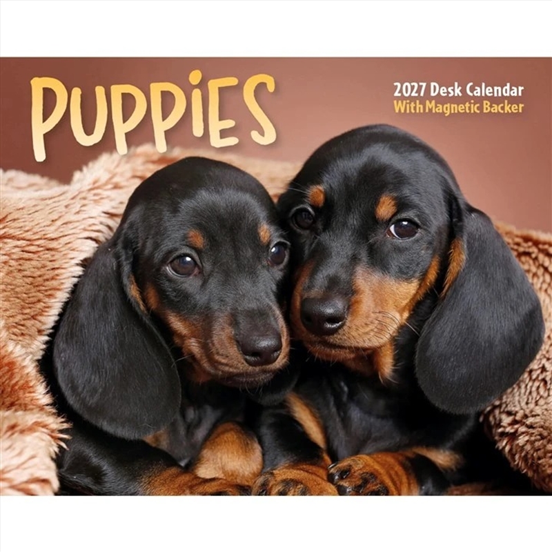 Puppies Mini Box Calendar/Product Detail/Calendars & Diaries