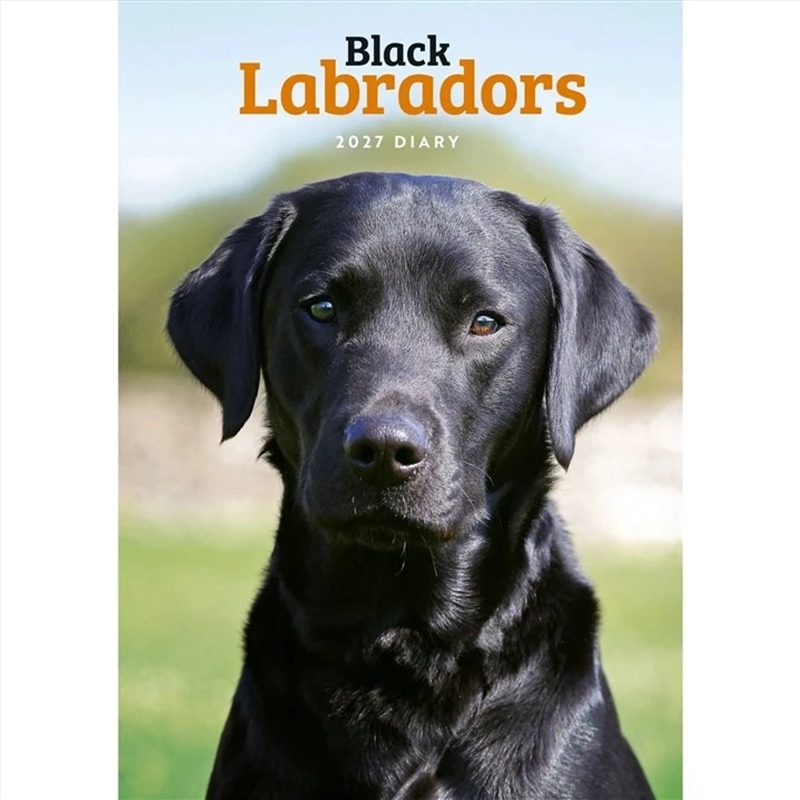 Labrador Retrievers Black A5 Engagement Diary/Product Detail/Calendars & Diaries