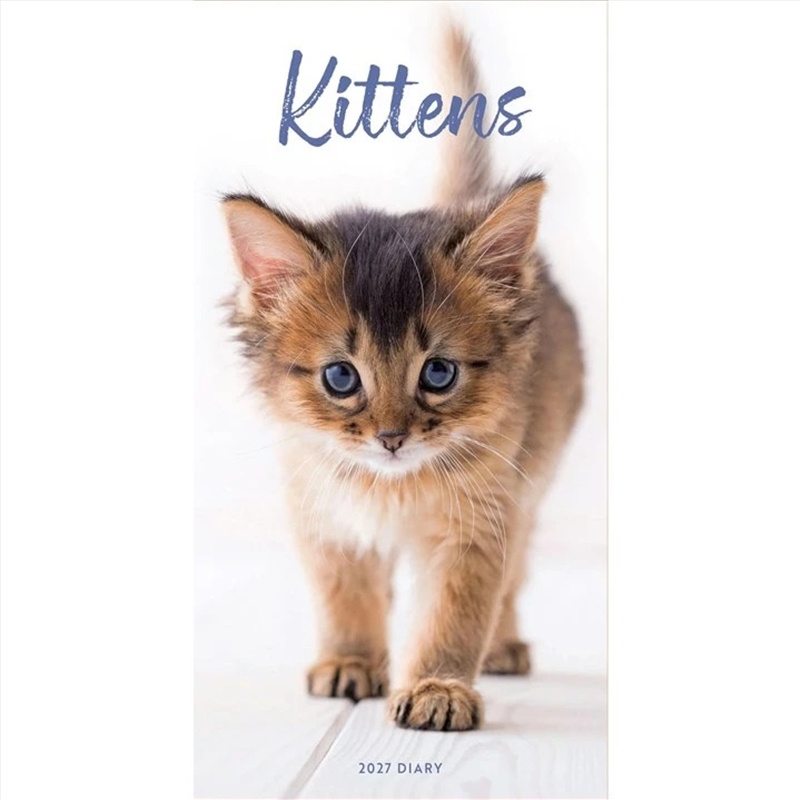 Kittens Slim Diary/Product Detail/Calendars & Diaries