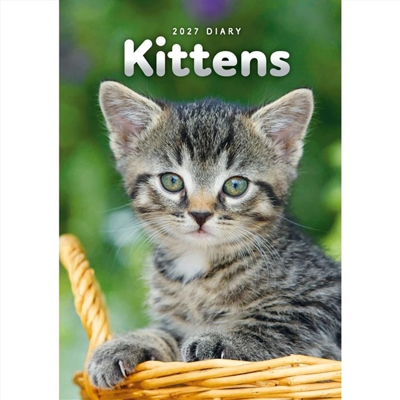 Kittens A5 Engagement Diary/Product Detail/Calendars & Diaries