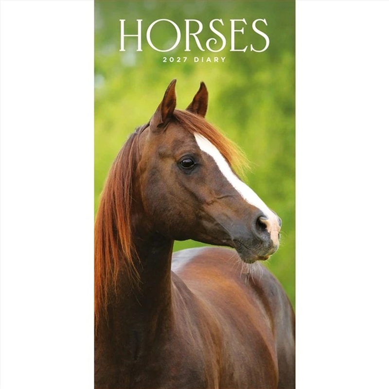 Horses Slim Diary/Product Detail/Calendars & Diaries