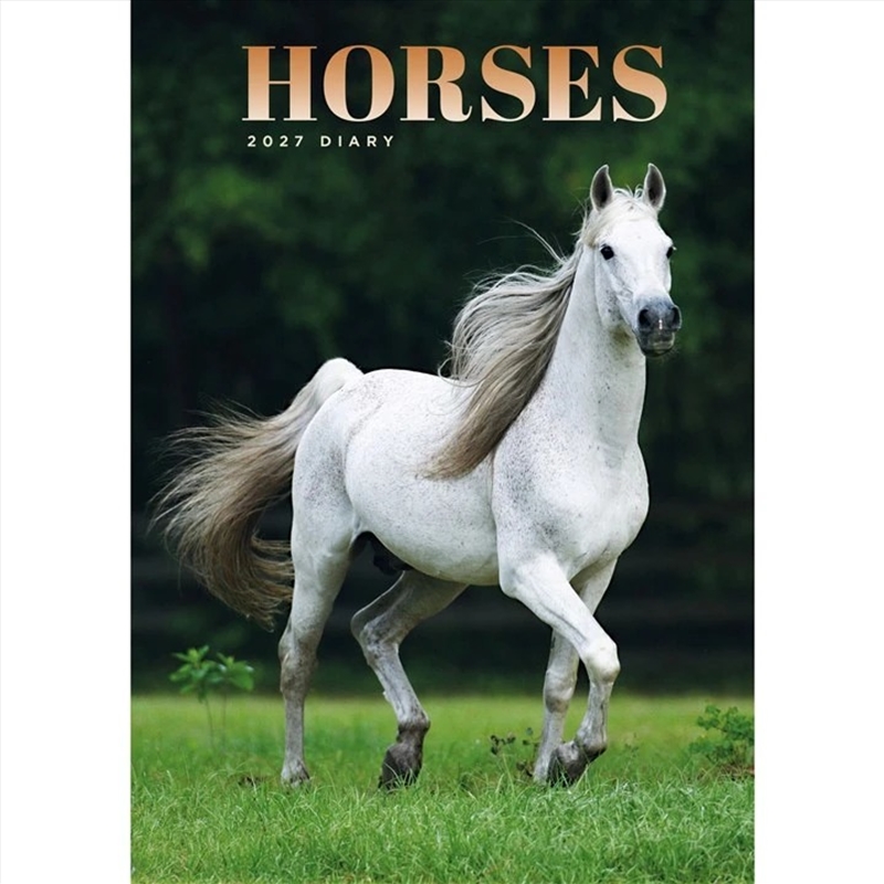 Horses A5 Engagement Diary/Product Detail/Calendars & Diaries