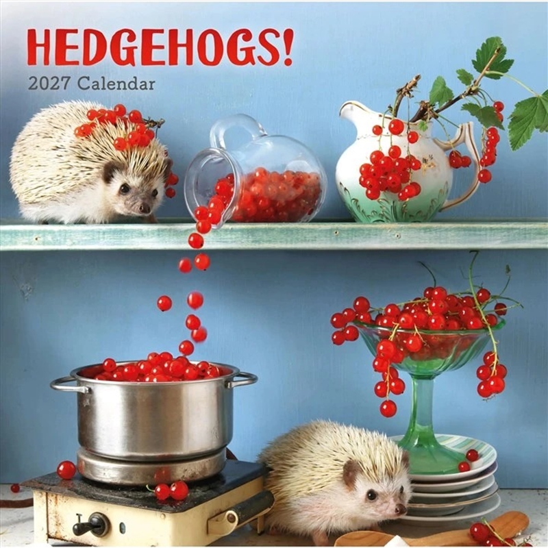 Hedgehogs! Wall Calendar/Product Detail/Calendars & Diaries