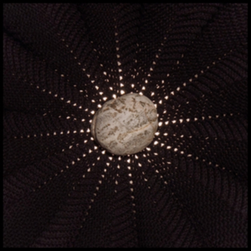 In The Hollows/Product Detail/Rock/Pop