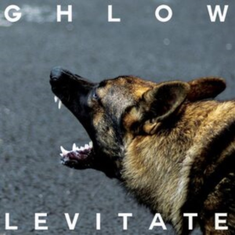 Levitate/Product Detail/Rock/Pop