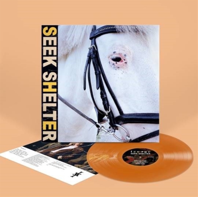Seek Shelter/Product Detail/Rock/Pop