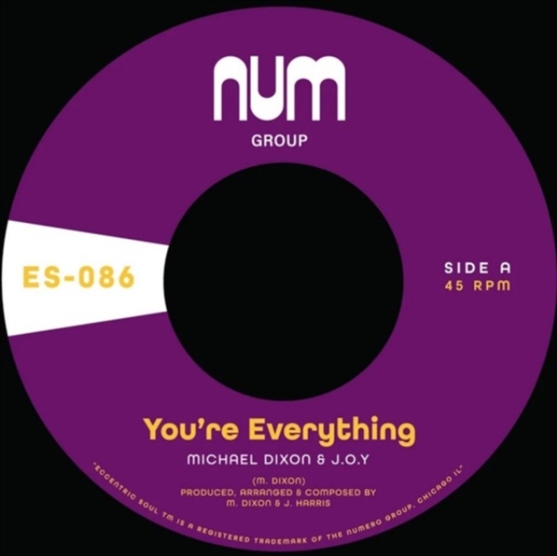 You're Everything B/W You're All I Need/Product Detail/R&B
