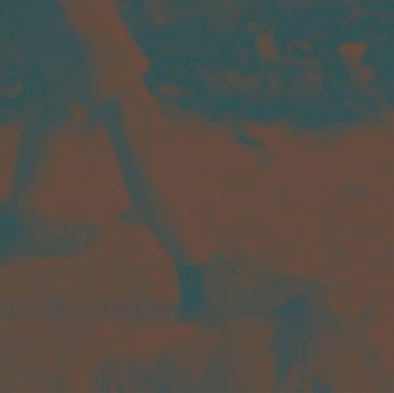 Ritual Howls - Cemetary Green Vinyl/Product Detail/Rock/Pop