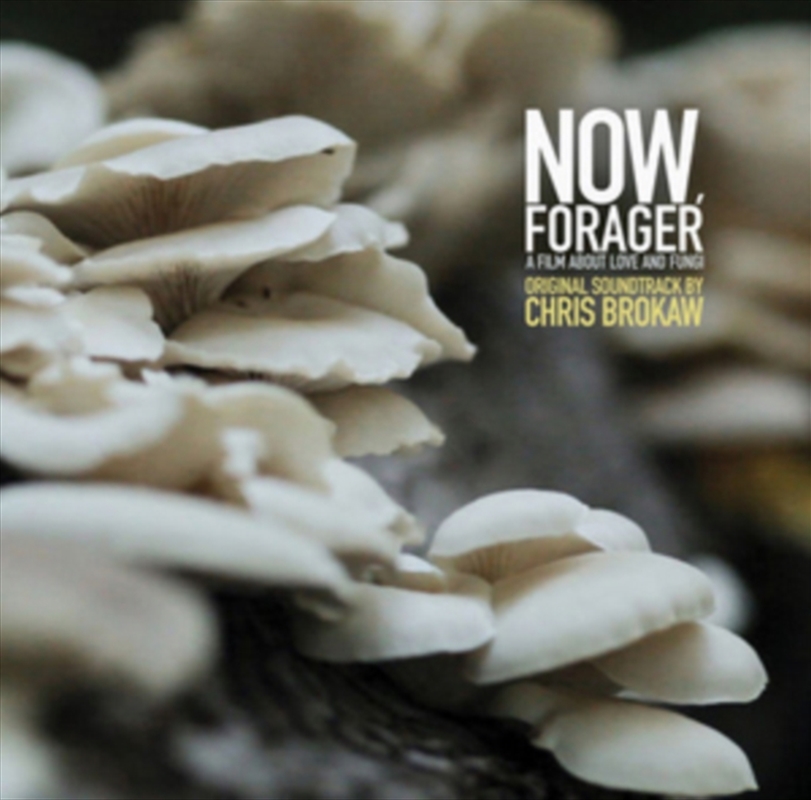 Now Forager/Product Detail/Soundtrack