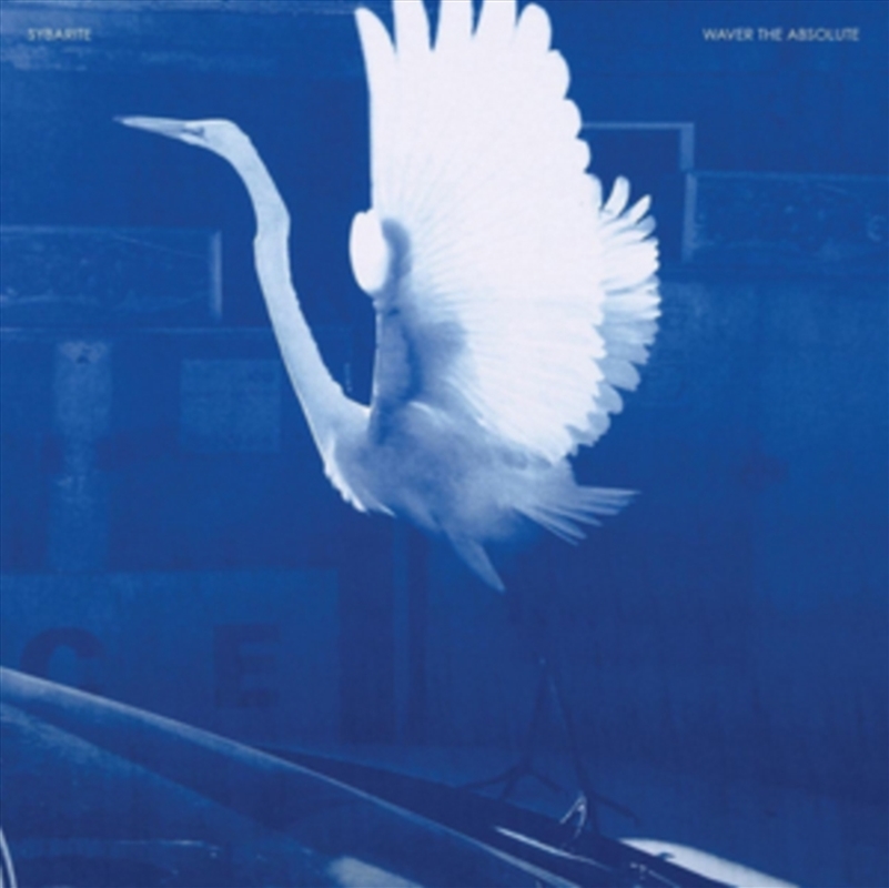 Waver The Absolute/Product Detail/Rock/Pop