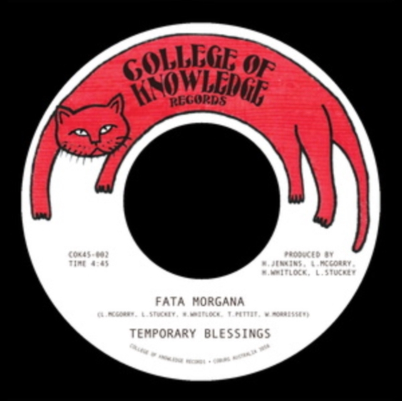 Fata Morgana B/W Silence Leaves An Open Wound/Product Detail/R&B
