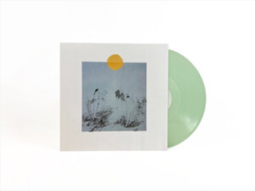 Lost In The Country - Coke Bottle Green Vinyl/Product Detail/Rock/Pop