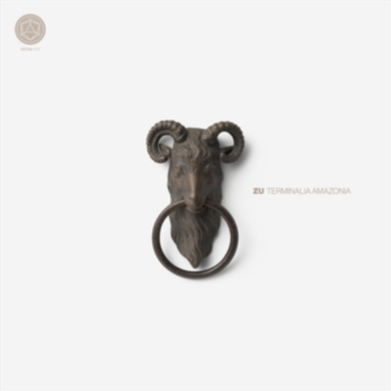 Terminalia Amazonia/Product Detail/Rock/Pop