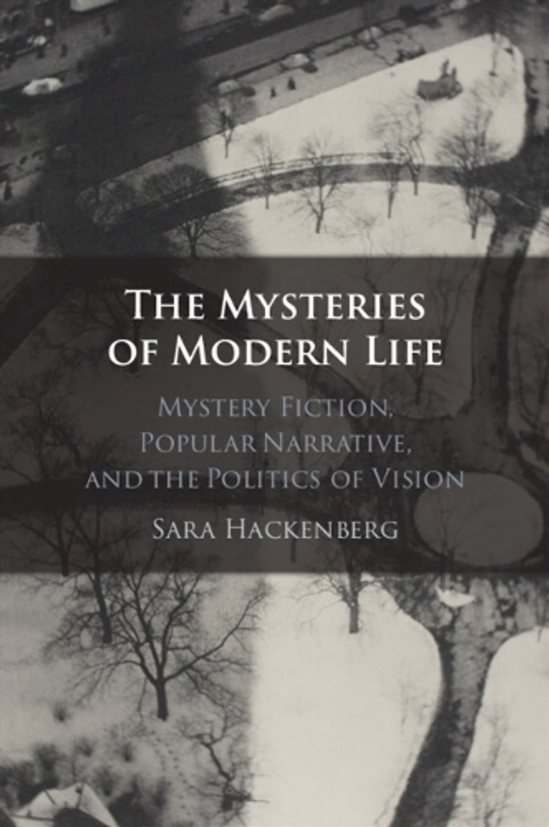 The Mysteries of Modern Life : Mystery Fiction, Popular Narrative, and the Politics of Vision/Product Detail/Literature & Poetry