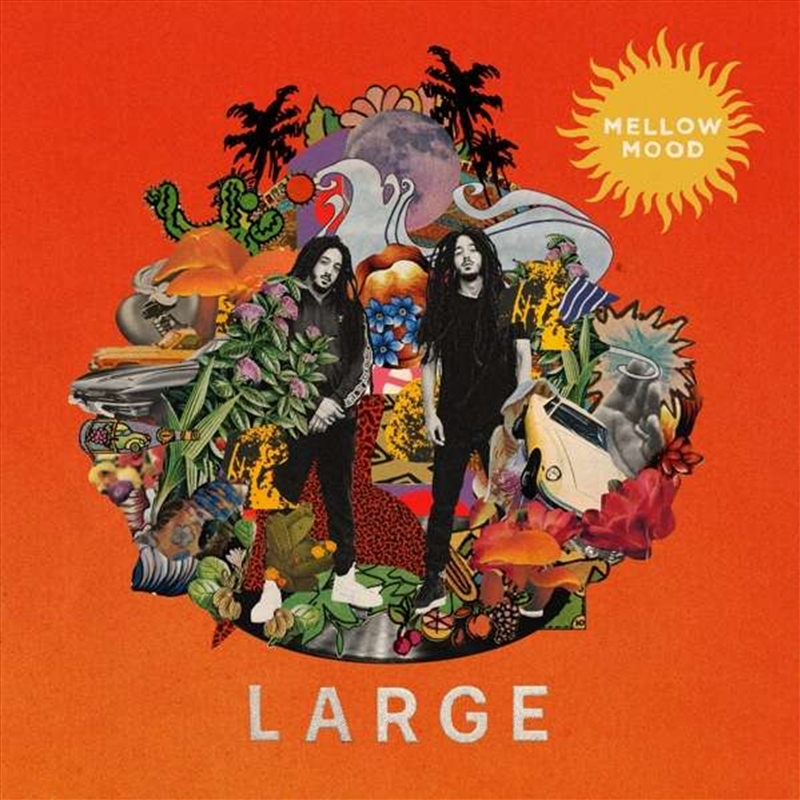 Large/Product Detail/Reggae