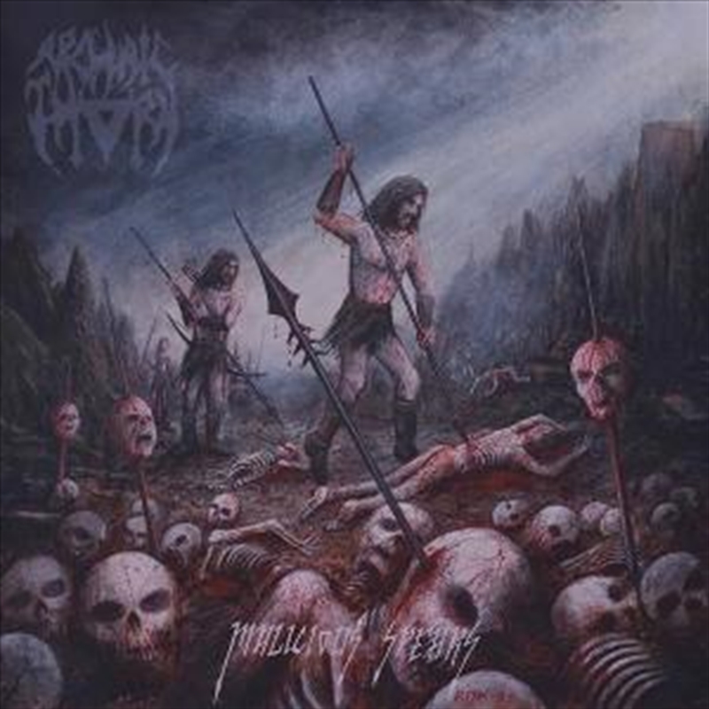 Malicious Spears - Red Vinyl/Product Detail/Metal