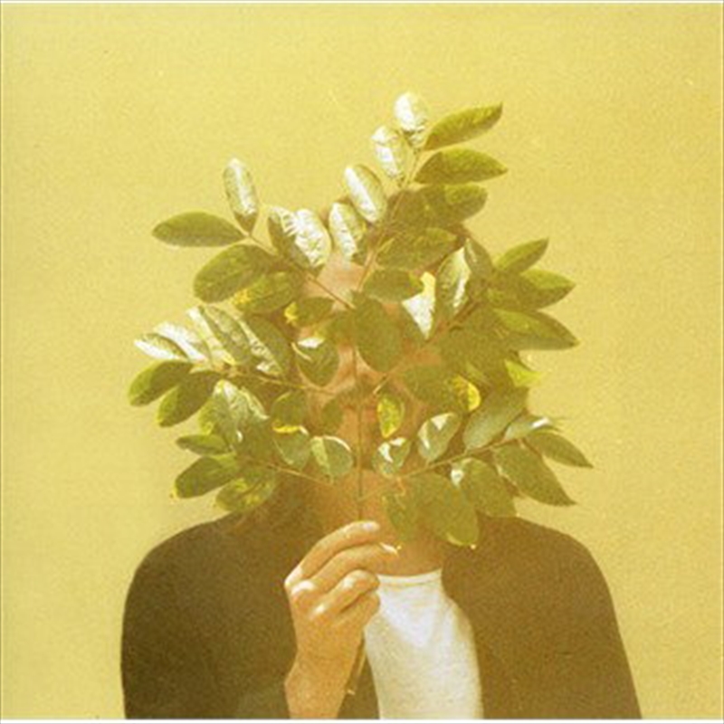 French Kiwi Juice/Product Detail/Dance