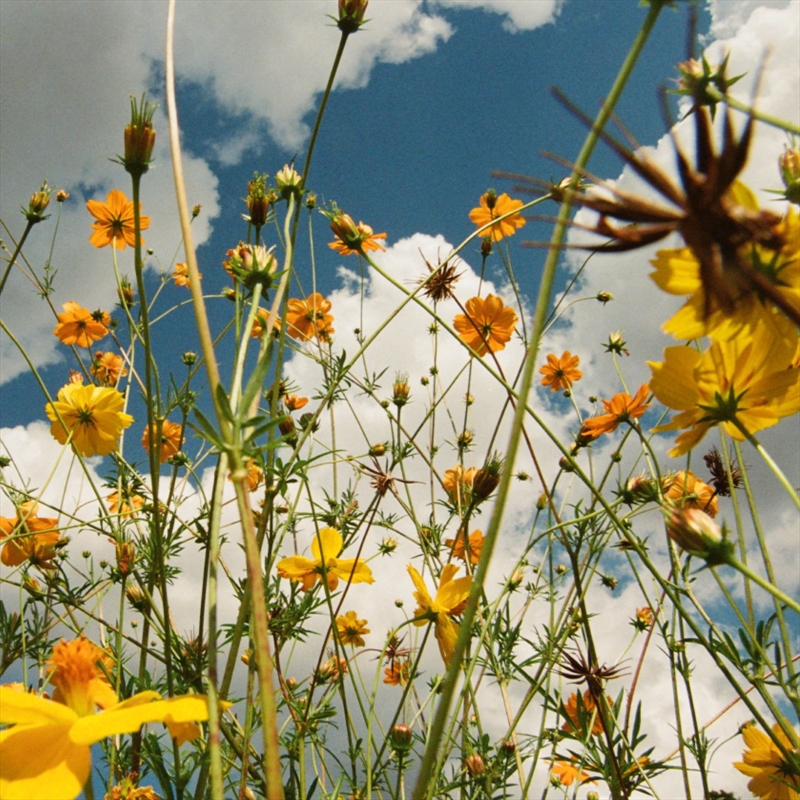 You Are Spring - Yellow Vinyl/Product Detail/Rock/Pop