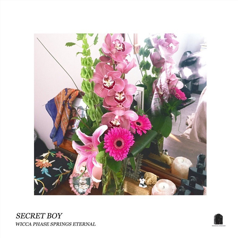 Secret Boy - Doublemint Green Vinyl/Product Detail/Rock/Pop