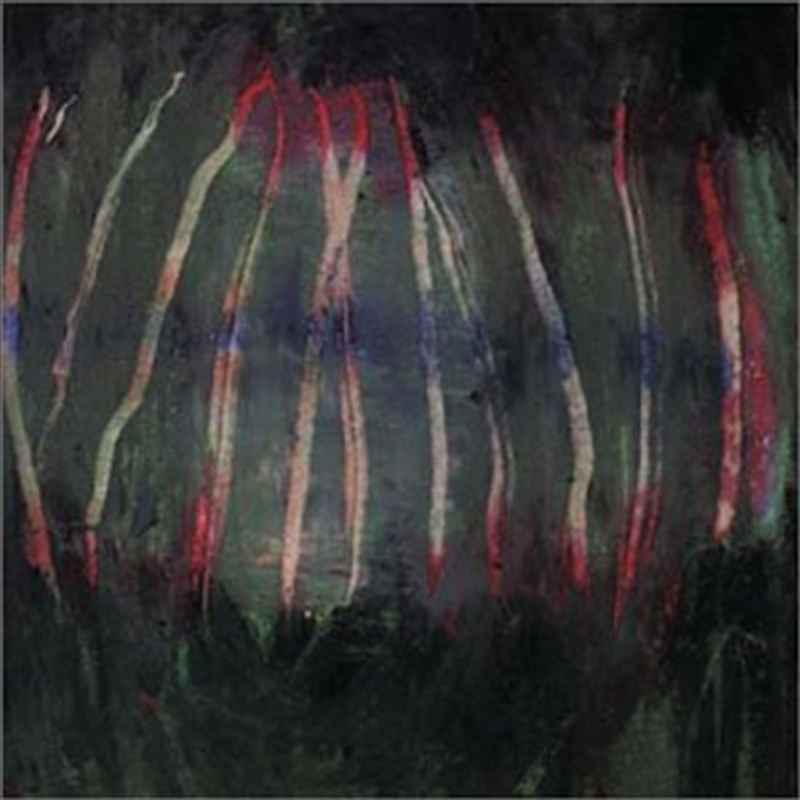 Maander/Product Detail/Dance