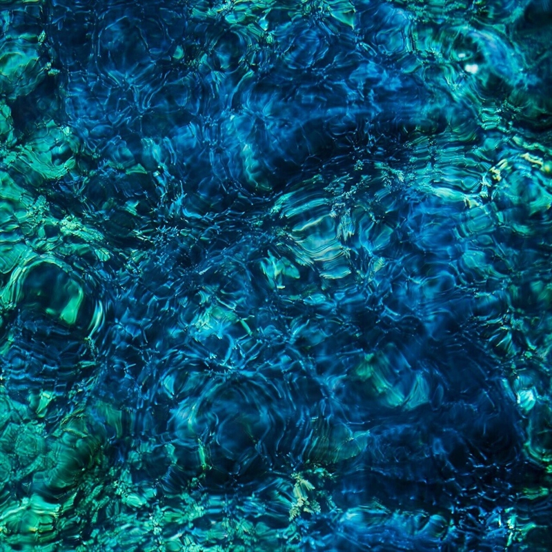 Luminescent Creatures/Product Detail/Rock/Pop