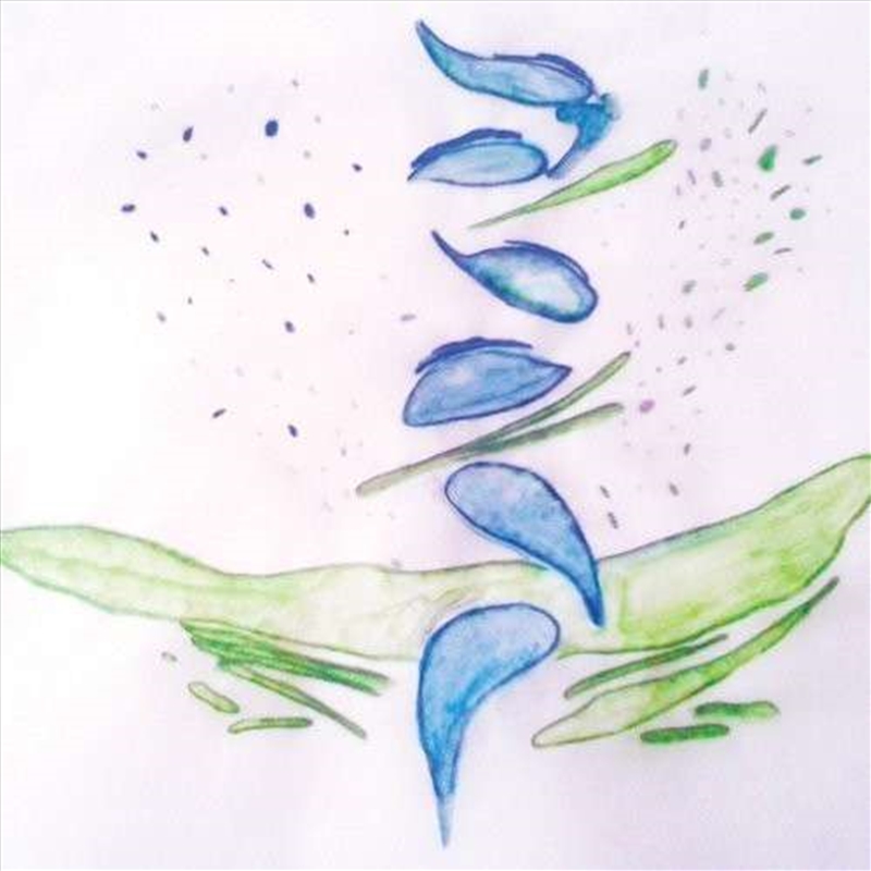 Iterations/Product Detail/Dance