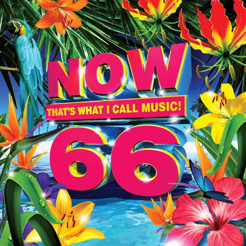Now 66/Product Detail/Pop