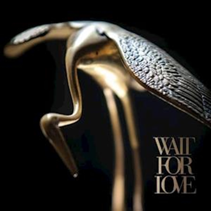 Wait For Love - Trans Clear Vinyl/Product Detail/Rock/Pop