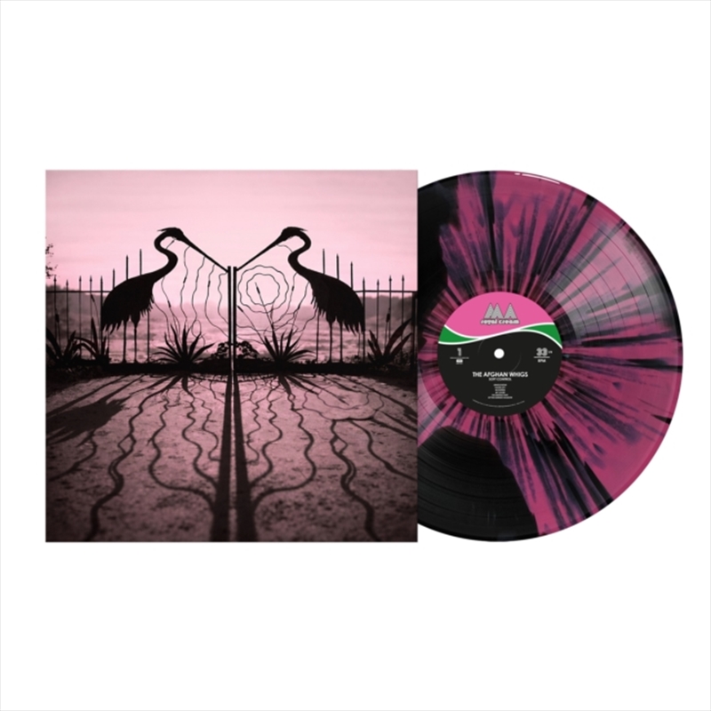 Soft Control - Pink / Black Smush Splatter Vinyl/Product Detail/Alternative