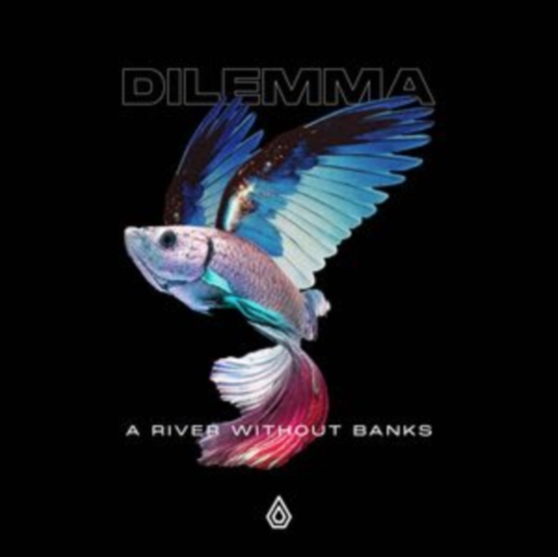 A River Without Banks/Product Detail/Rock/Pop
