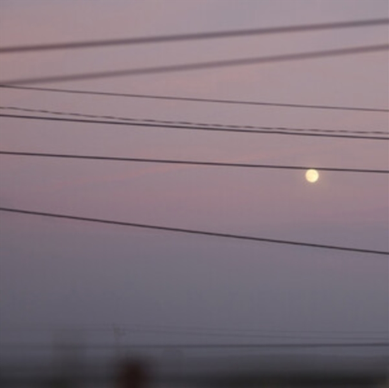 Long Slow Distance/Product Detail/Dance