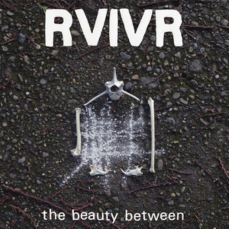 The Beauty Between - Black/Clear Vinyl/Product Detail/Rock/Pop