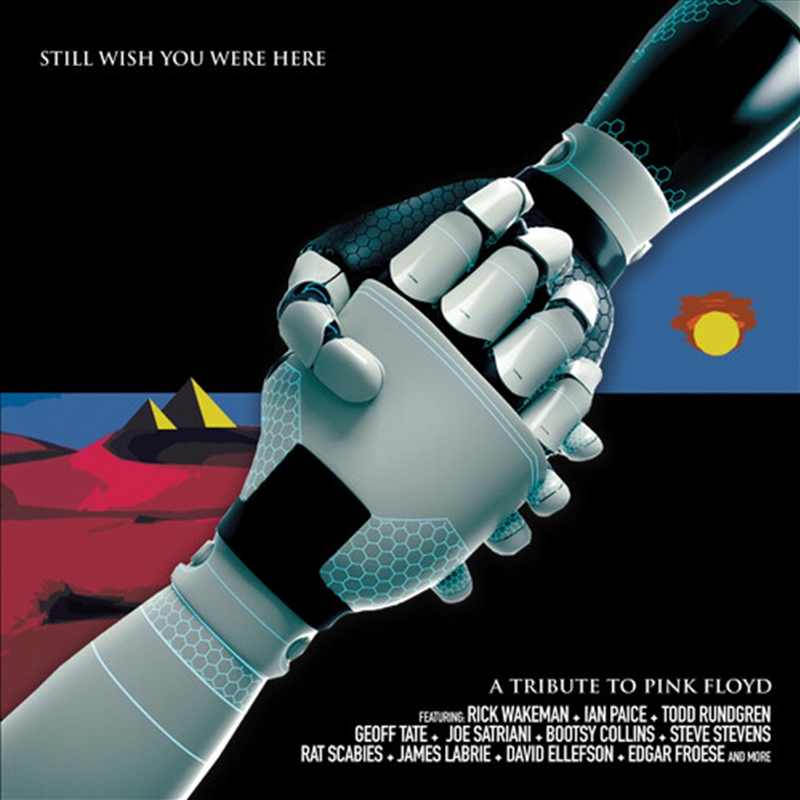 Still Wish You Were Here: Tribute To Pink/Product Detail/Rock/Pop