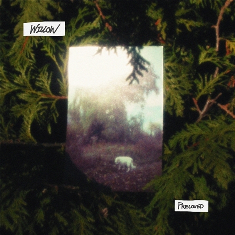 Willow/Product Detail/Rock/Pop