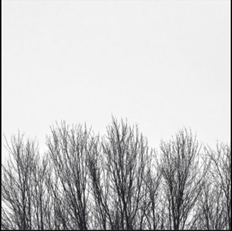 White Sky/Product Detail/Jazz