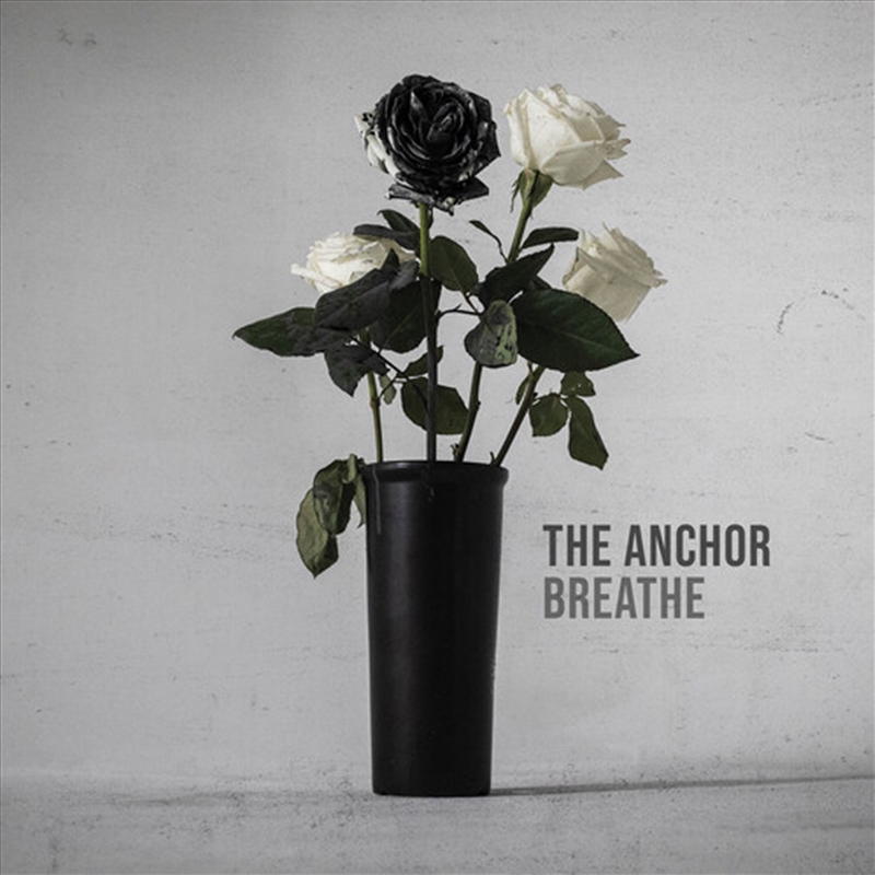 Anchor/Product Detail/Metal