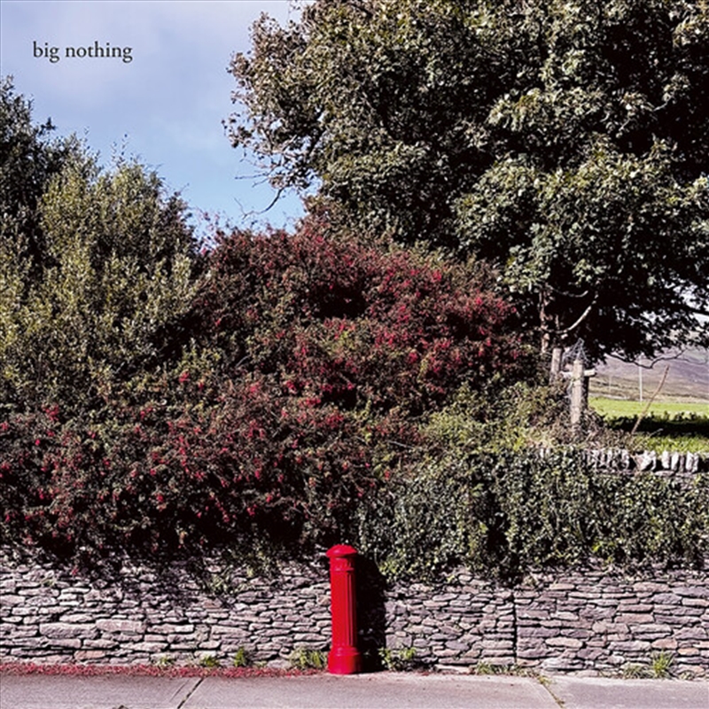 Big Nothing/Product Detail/Rock/Pop