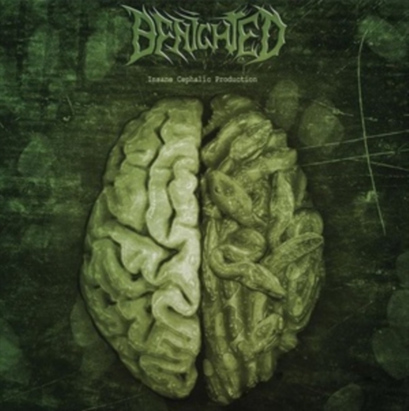Insane Cephalic Production/Product Detail/Metal