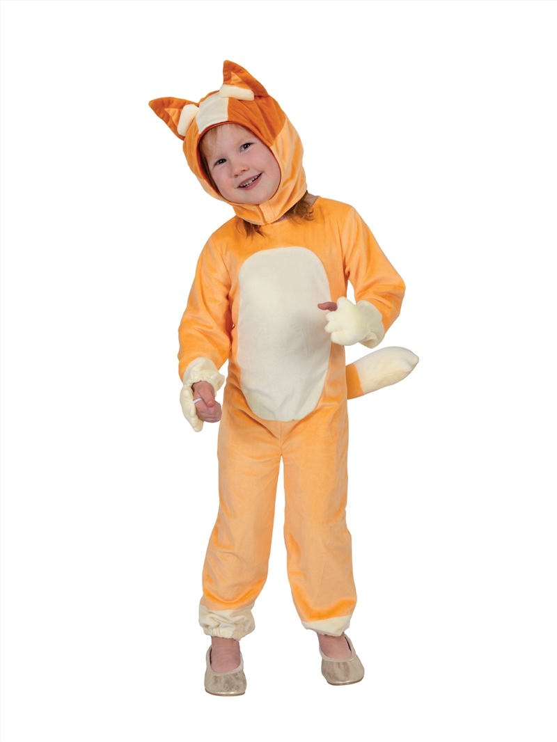 Bluey Bingo Deluxe Costume - Size Toddler/Product Detail/Costumes