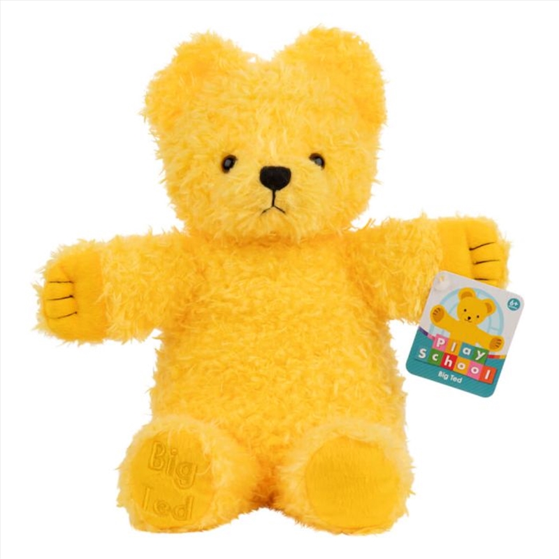 Play School Big Ted Plush/Product Detail/Plush Toys