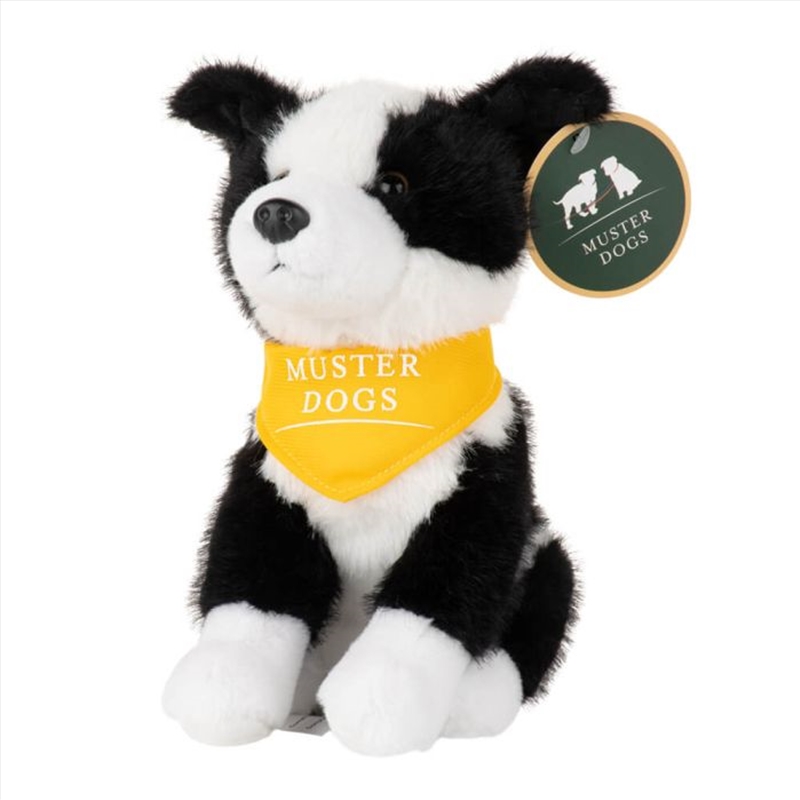 Muster Dogs White Border Collie Plush/Product Detail/Plush Toys