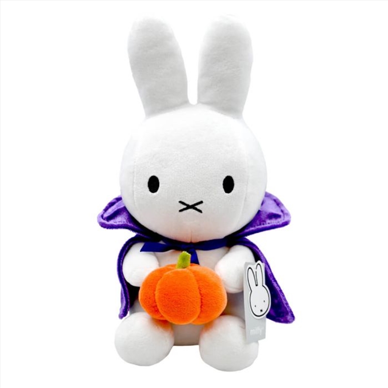 Miffy Halloween With Cape & Pumpkin/Product Detail/Plush Toys